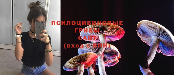 мдма Михайлов
