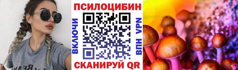 ОМГ ОМГ ссылка  Ржев  Галлюциногенные грибы мухоморы 