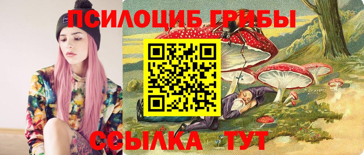 Псилоцибиновые грибы мицелий Ржев